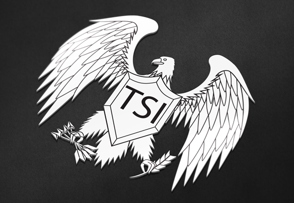 TSI Logo